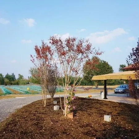 Campogrande Alojamento de Turismo Rural